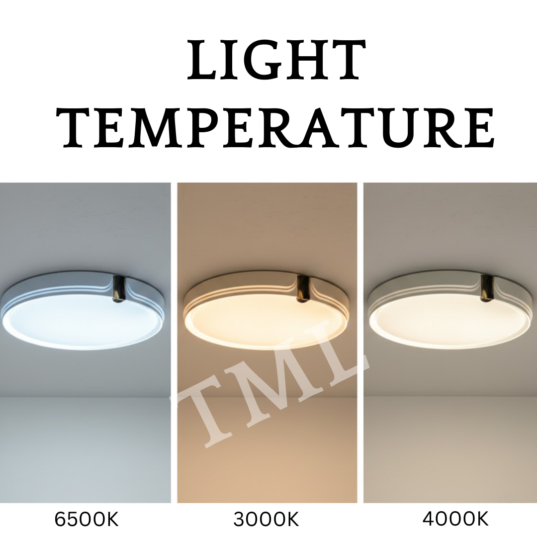 Daylight Warm White Cool White Comparison