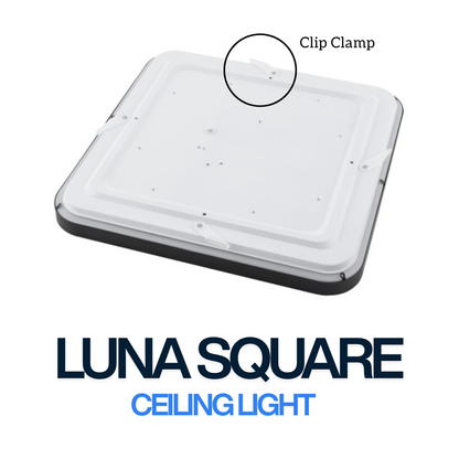 Luna Square LED Ceiling Light 38×38cm – Premium Slim Ceiling Light (Black / White)