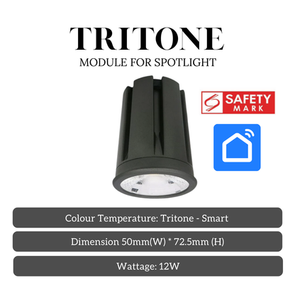 12W COB LED Module for Spotlight – 50mm High Brightness Downlight Engine (Smart / Non-Smart Options)