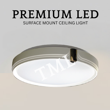 White with Gold LED Ceiling Light