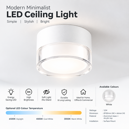 Modern LED Surface Mounted Ceiling Light - 12w white