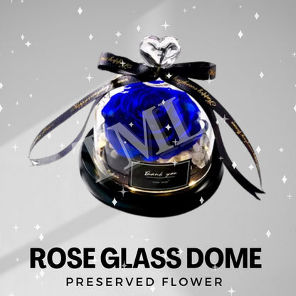 Valentine Gift Preserved Rose Flower Glass Dome with LED light Romantic | Birthday Anniversary | Gift for Her 4HOME SINGAPORE - 4HOME